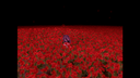 nophenia screenshot 4