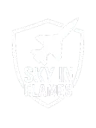 SkyInFlames cover art