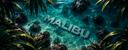 Discovery splash banner for Malibu Discord server