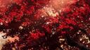Discovery splash banner for Twilight | DMs โ Egirls โ VCs โ Non Dating โ Emotes Discord server