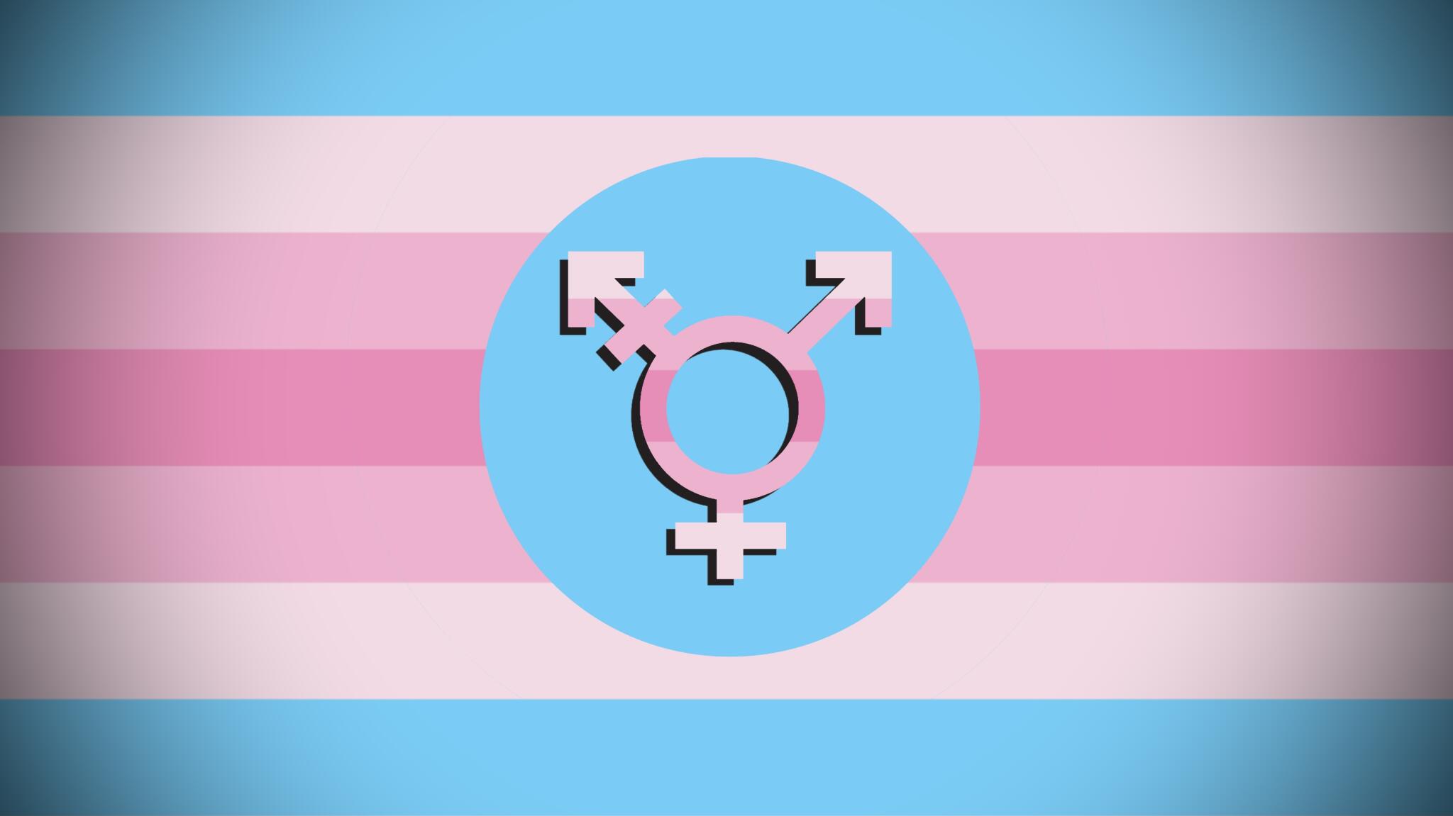Discovery splash banner for Transfem Hangout Discord server