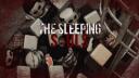 Discovery splash banner for The Sleeping Souls Discord server