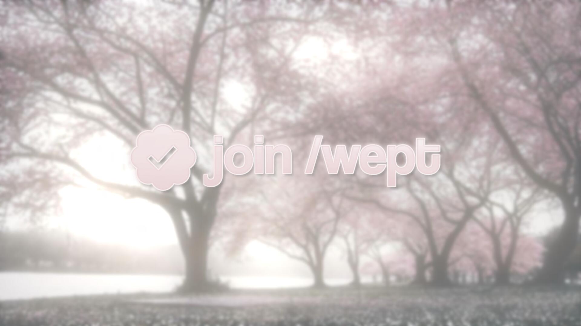Discovery splash banner for ᵕᵕ / @wept (' ⩊ ') ֪ Discord server