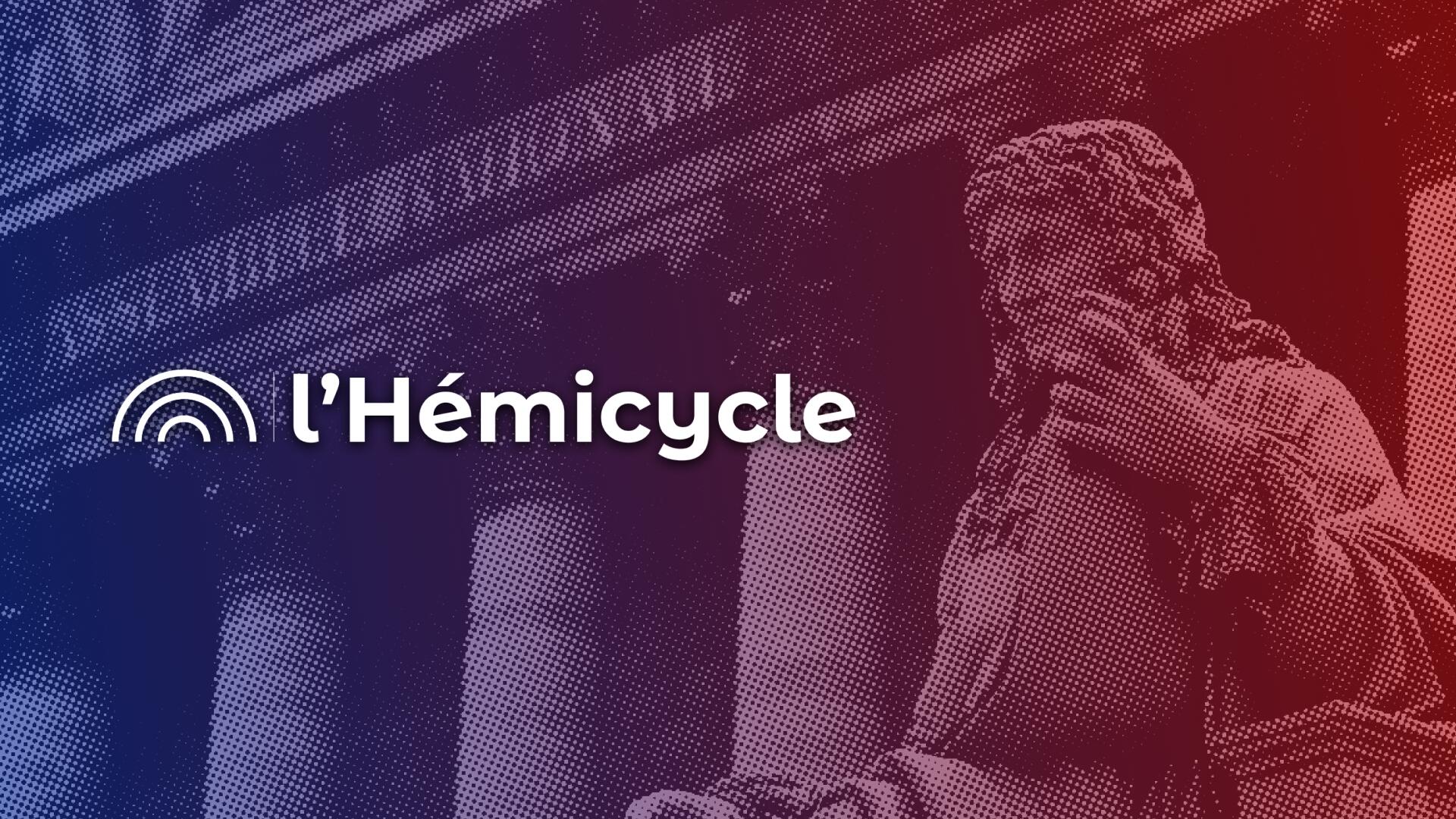 Discovery splash banner for l'Hémicycle | Politique Discord server