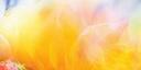 Discovery splash banner for Addison Rae Discord server