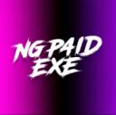 Discovery splash banner for NG P4iD EXE Discord server