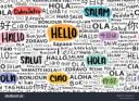 Discovery splash banner for Language Exchange Hub Discord server