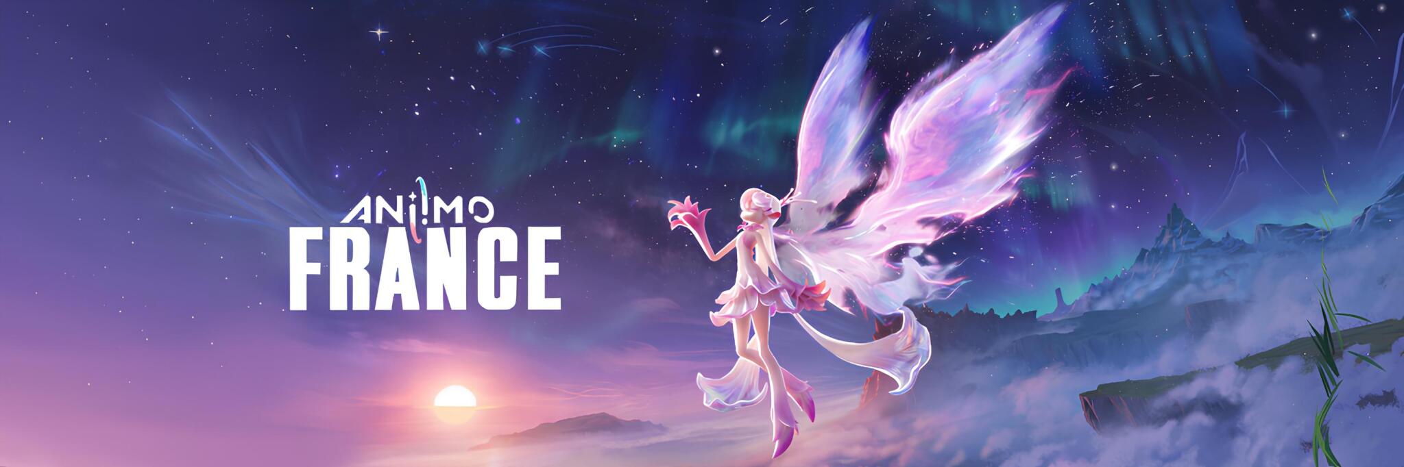 Discovery splash banner for Aniimo France Discord server