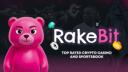 Discovery splash banner for Rakebit Discord server