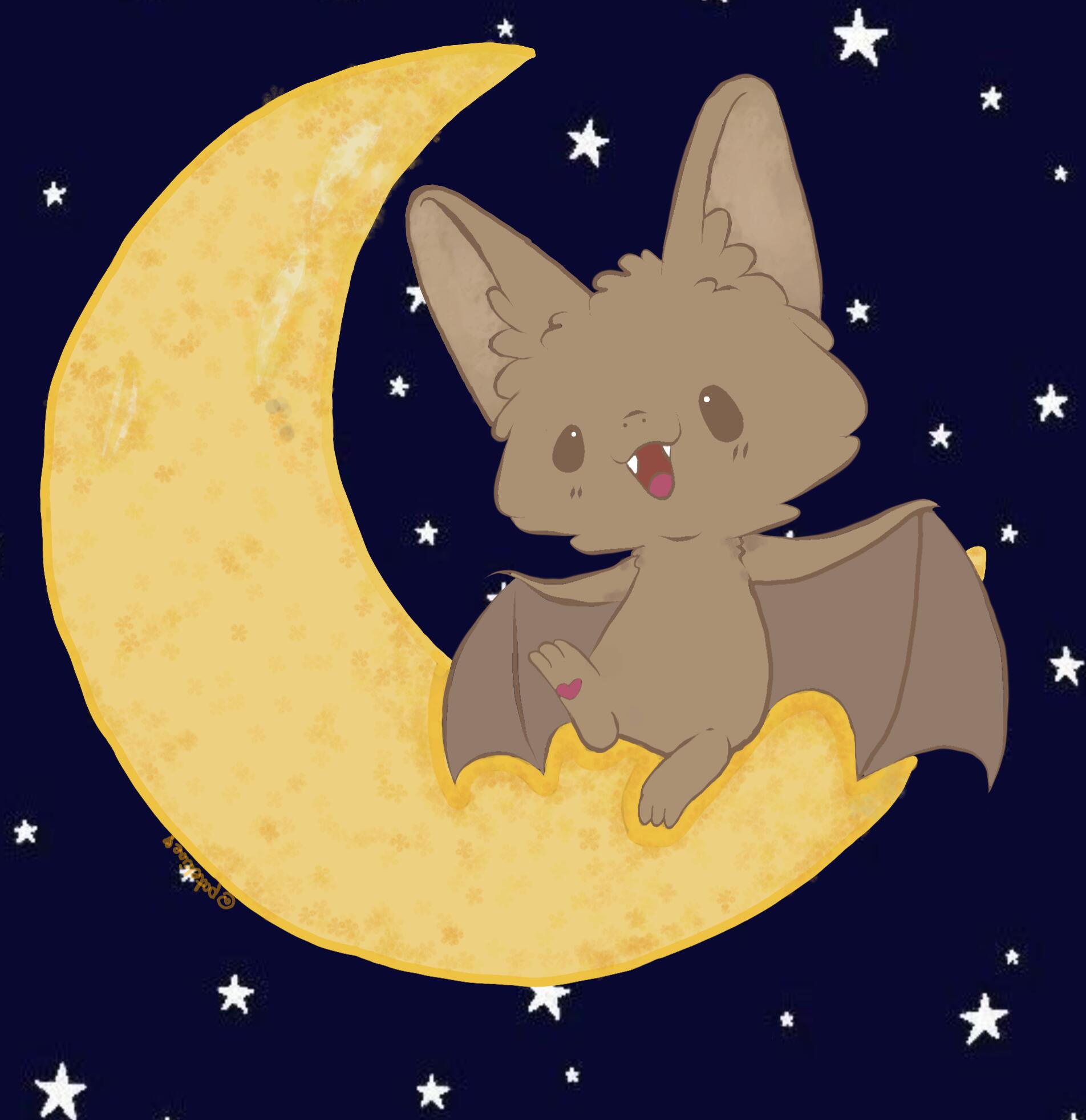 Discovery splash banner for Nietoperki🦇 Discord server
