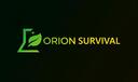 Discovery splash banner for Orion Survival Discord server