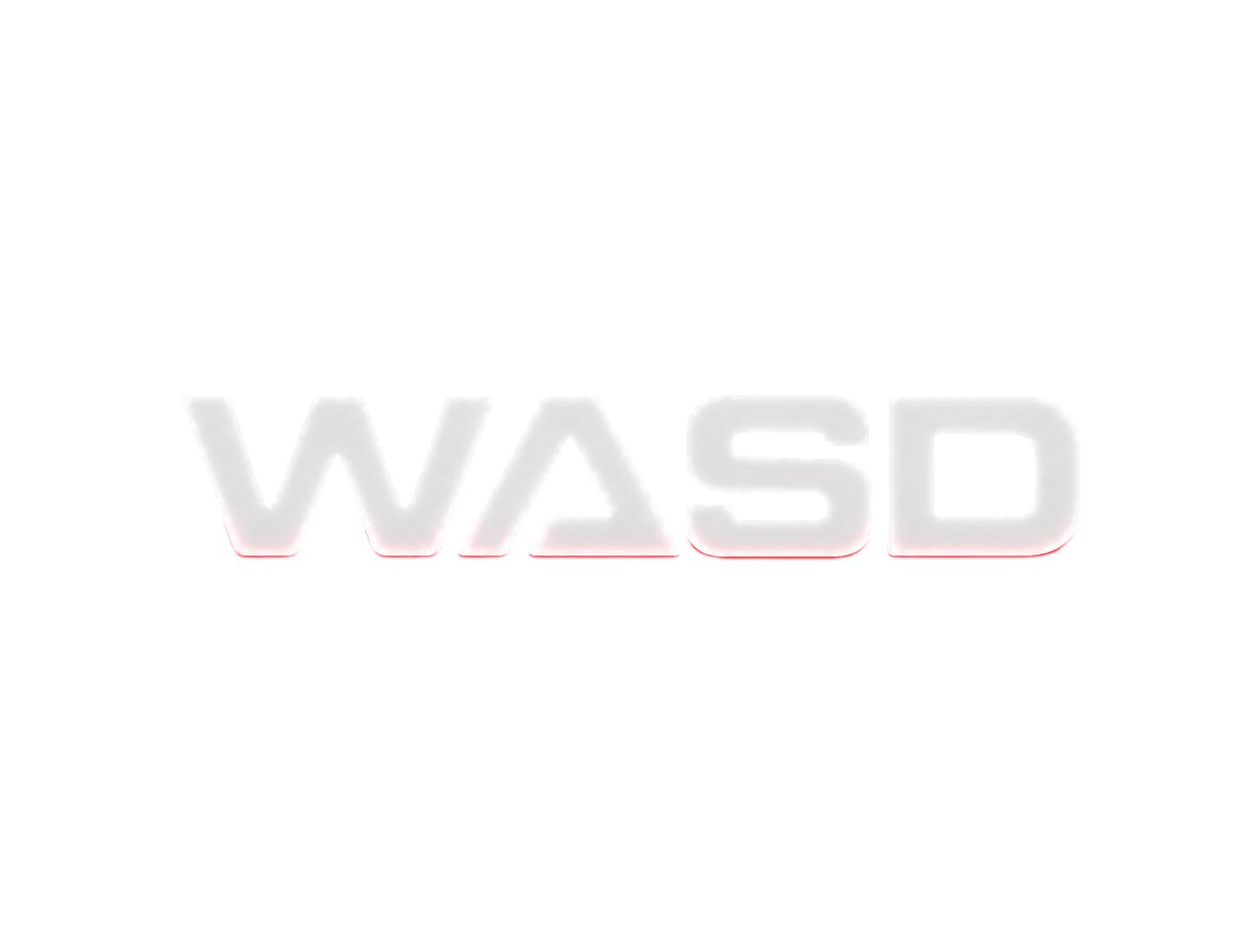 Discovery splash banner for WASD Discord server
