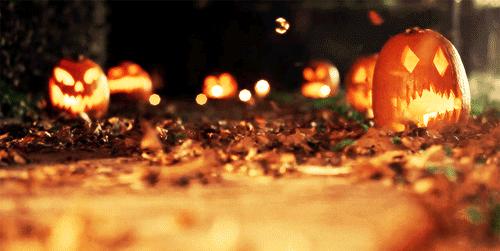Discovery splash banner for 🎃𓈒﹙ ノαngeℓℓιc ﹚֪۫ ִ⑅ Discord server