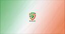 Discovery splash banner for RL Ireland Discord server