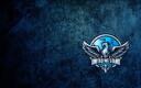 Discovery splash banner for United We Stand Discord server