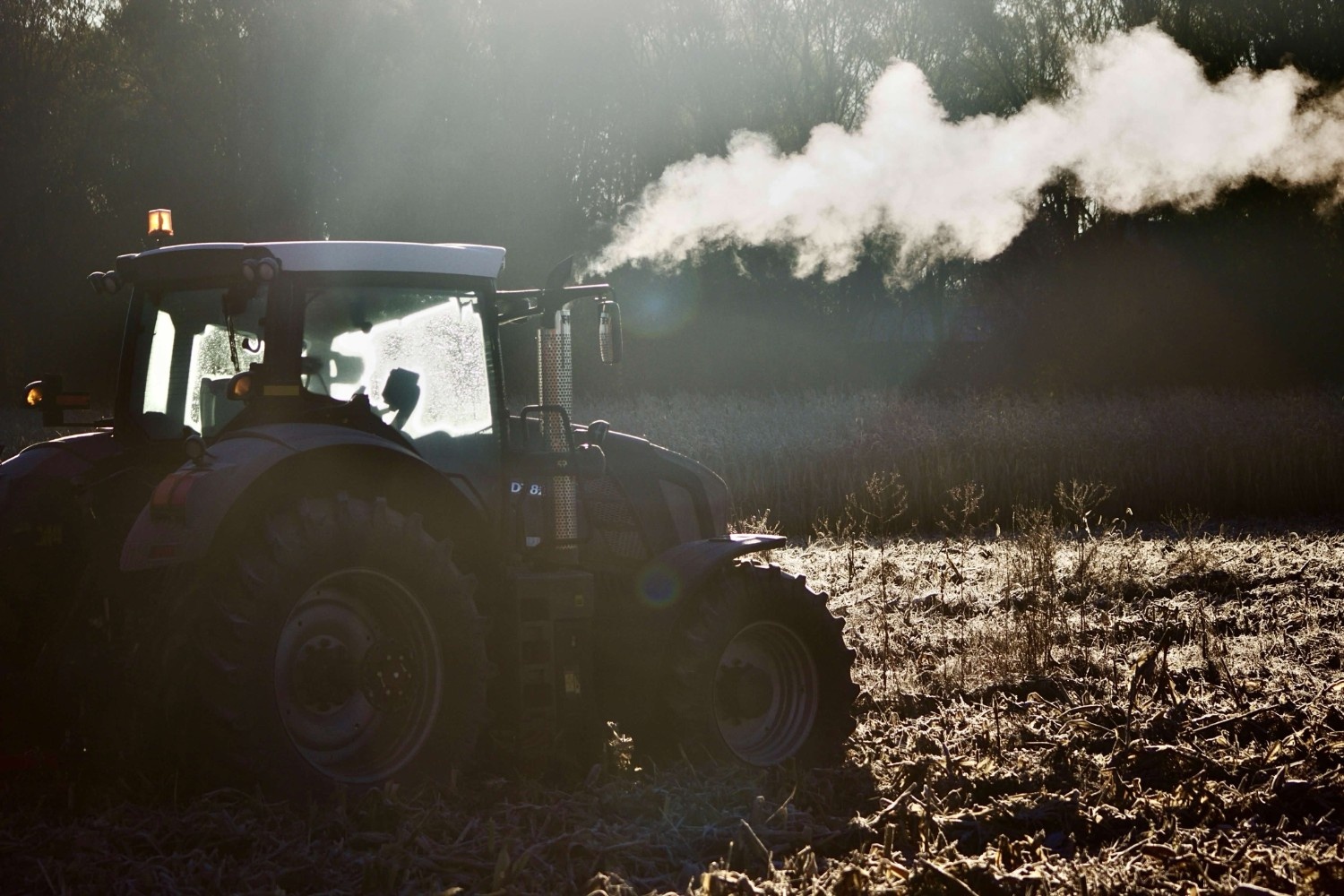 Discovery splash banner for The Farming Community Discord server