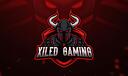 Discovery splash banner for Xiled Gaming Discord server