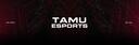 Discovery splash banner for Texas A&M Esports Discord server