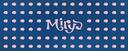 Discovery splash banner for Mirys Discord server