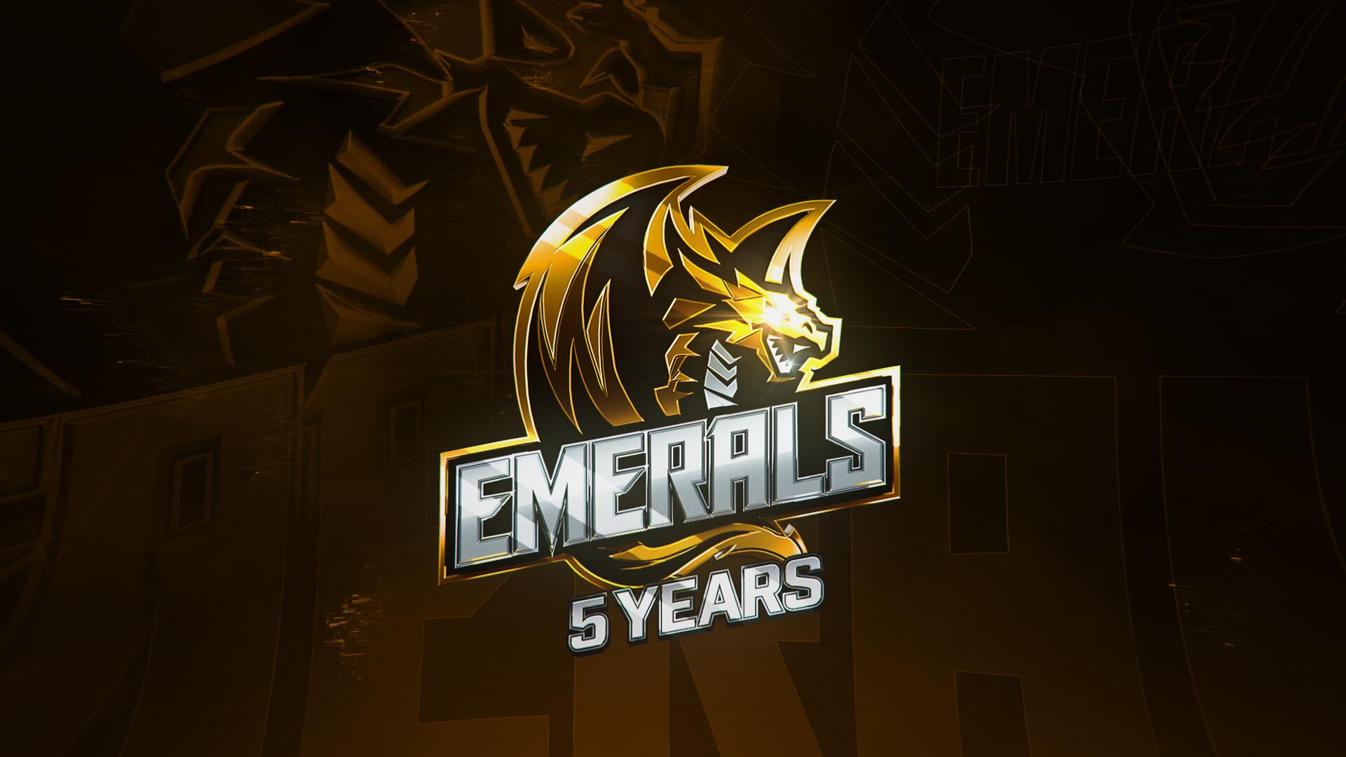 Discovery splash banner for NEW EMERALS 5 YEARS Discord server