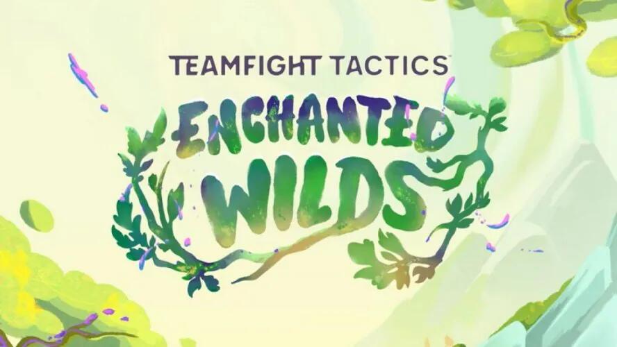 Discovery splash banner for Baguette TFT Discord server