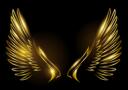 Discovery splash banner for !Wings CS:GO Trading Discord server