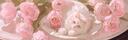 Discovery splash banner for πΈ rosey βΛΒ° | social β free tag β gwys Discord server
