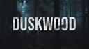 Discovery splash banner for Duskwood & Moonvale Discord server