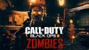 Discovery splash banner for BLACK OPS 3 CUSTOM ZOMBIES Discord server
