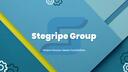 Discovery splash banner for Stegripe™ Fanbase Discord server