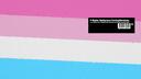 Discovery splash banner for Femboy Sanctuary Discord server