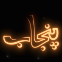 Discovery icon for Desi Punjab (Pakistani, Indian) Discord server