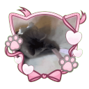 Discovery icon for 𐀴﹒ᯄ ℳeowie ⑅ 𝒮ocial ⑅ 𝒢ws ⑅ 𝒟ecor Discord server