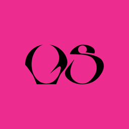Discovery icon for VS, INC. Discord server