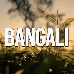Discovery icon for BANGALI Discord server