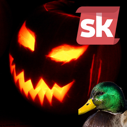 Discovery icon for skUnity Discord server