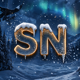 Discovery icon for # 𝐒𝐧𝐨𝐰 𝐍𝐢𝐠𝐡𝐭 Discord server