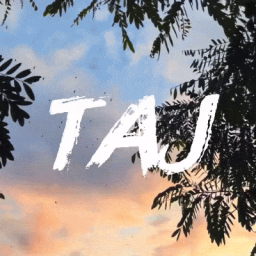 Discovery icon for The TAJ || Social・SFW・Active・Fun・Chilling Community Discord server