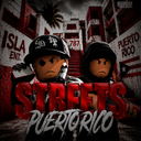Discovery icon for 🌴🩸 | STTS Puerto Rico RP Discord server