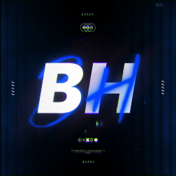 Discovery icon for Botting Hub Discord server