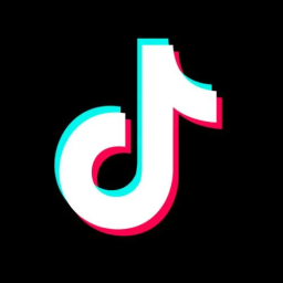 Discovery icon for TikTok Bazaar™ | TikTok・L4L・C4C・Link Trading ・Temu・SHEIN Discord server