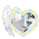 Discovery icon for ໃ།†✦ /Wingarden ₍₍⚞(˶>ᗜ<˶)⚟⁾⁾ #RT1.5K Discord server
