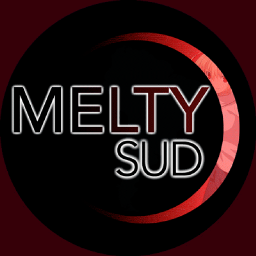 Discovery icon for Melty Sud Discord server