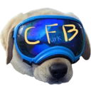 Discovery icon for CFBcord Discord server