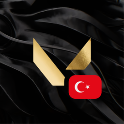 Discovery icon for VALORANT Türkiye Discord server